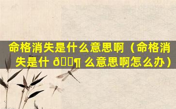 命格消失是什么意思啊（命格消失是什 🐶 么意思啊怎么办）